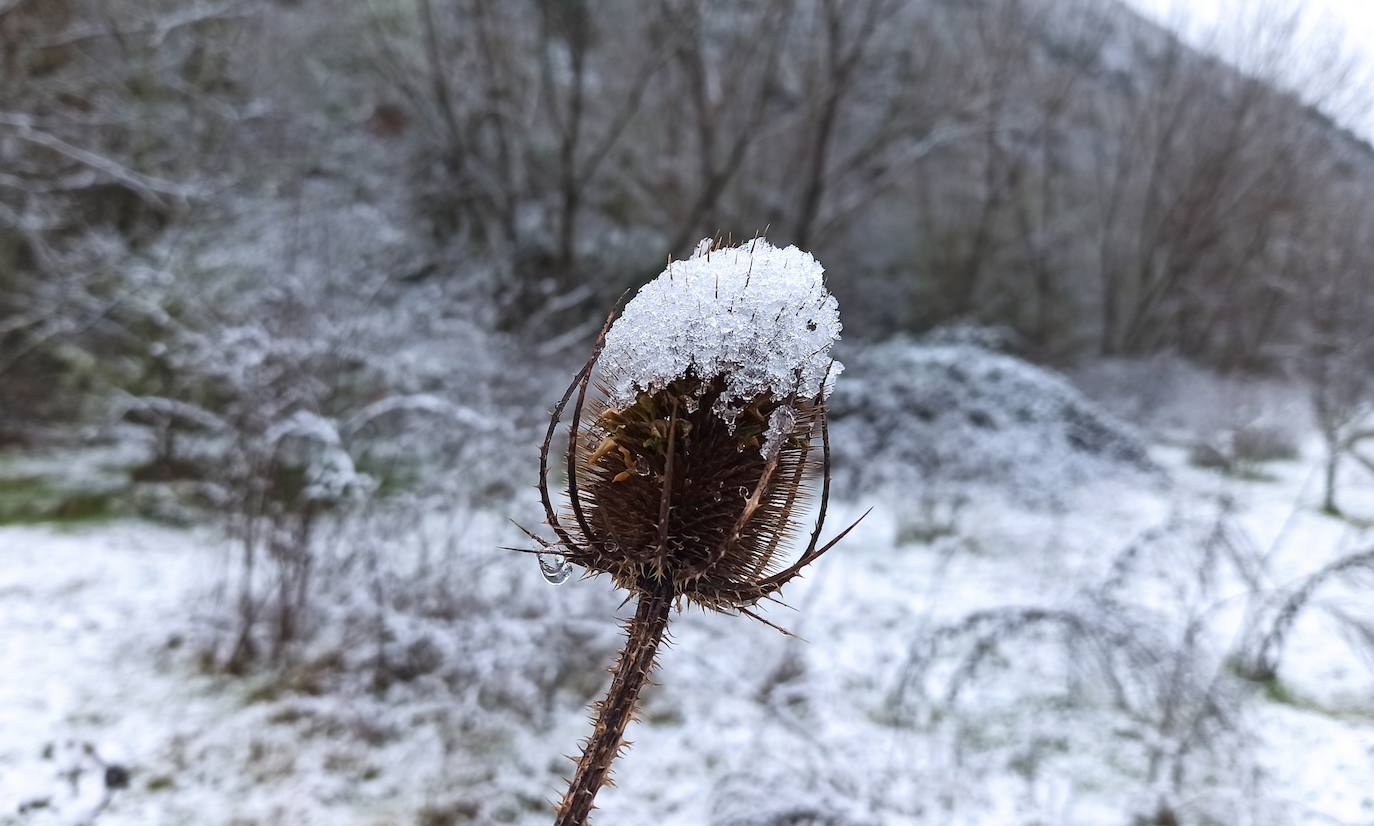 El temporal ha permitido que la capital berciana se tiñera de blanco en la mañana de este sábado